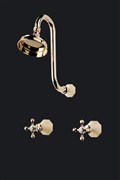 GOOSENECK SHOWER SET